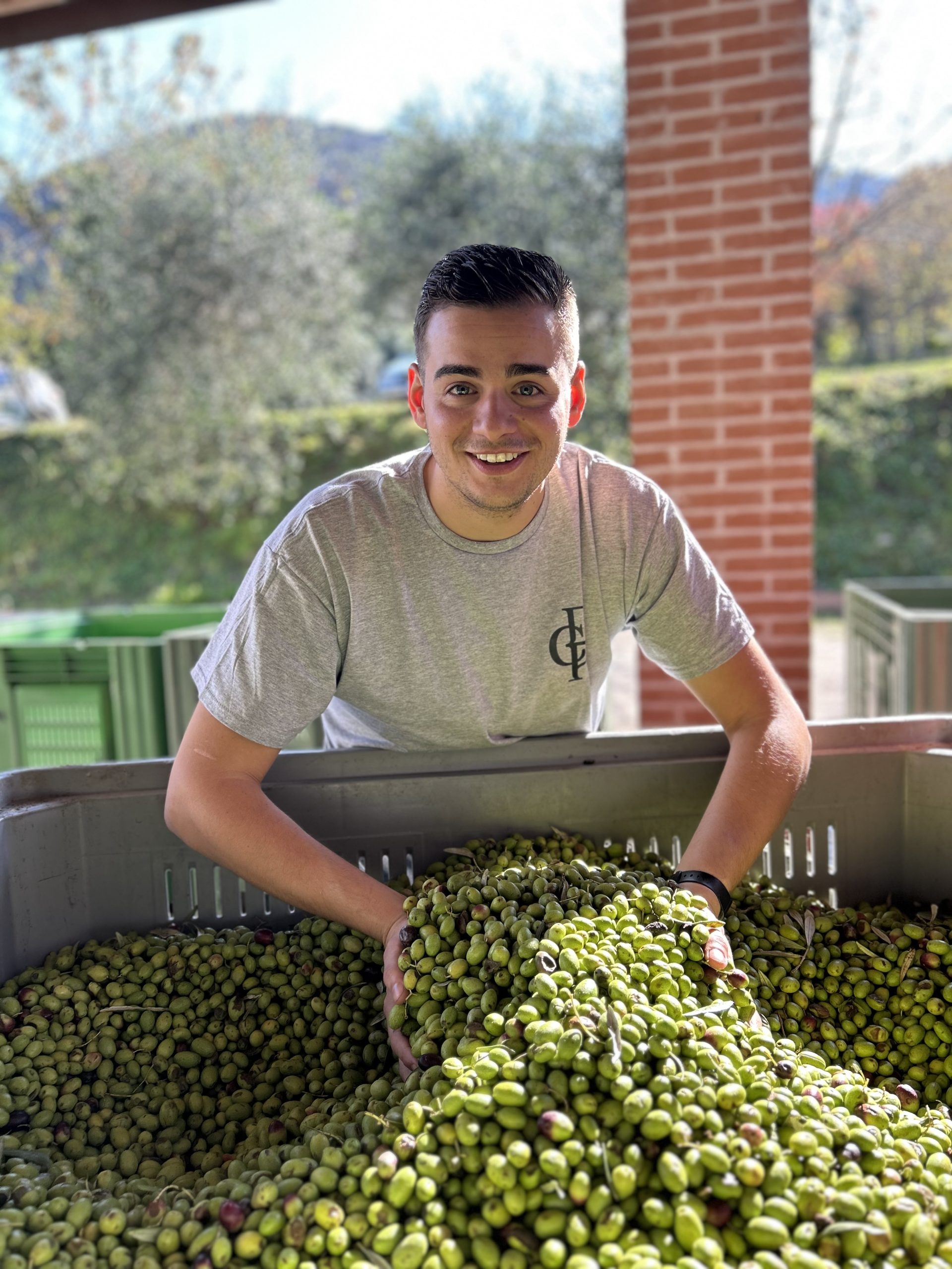 emanuele-titolare-frantoio-colle-del-poeta Emanuele, titolare del Frantoio Colle del Poeta di Arquà Petrarca, con le mani immerse tra le olive appena raccolte