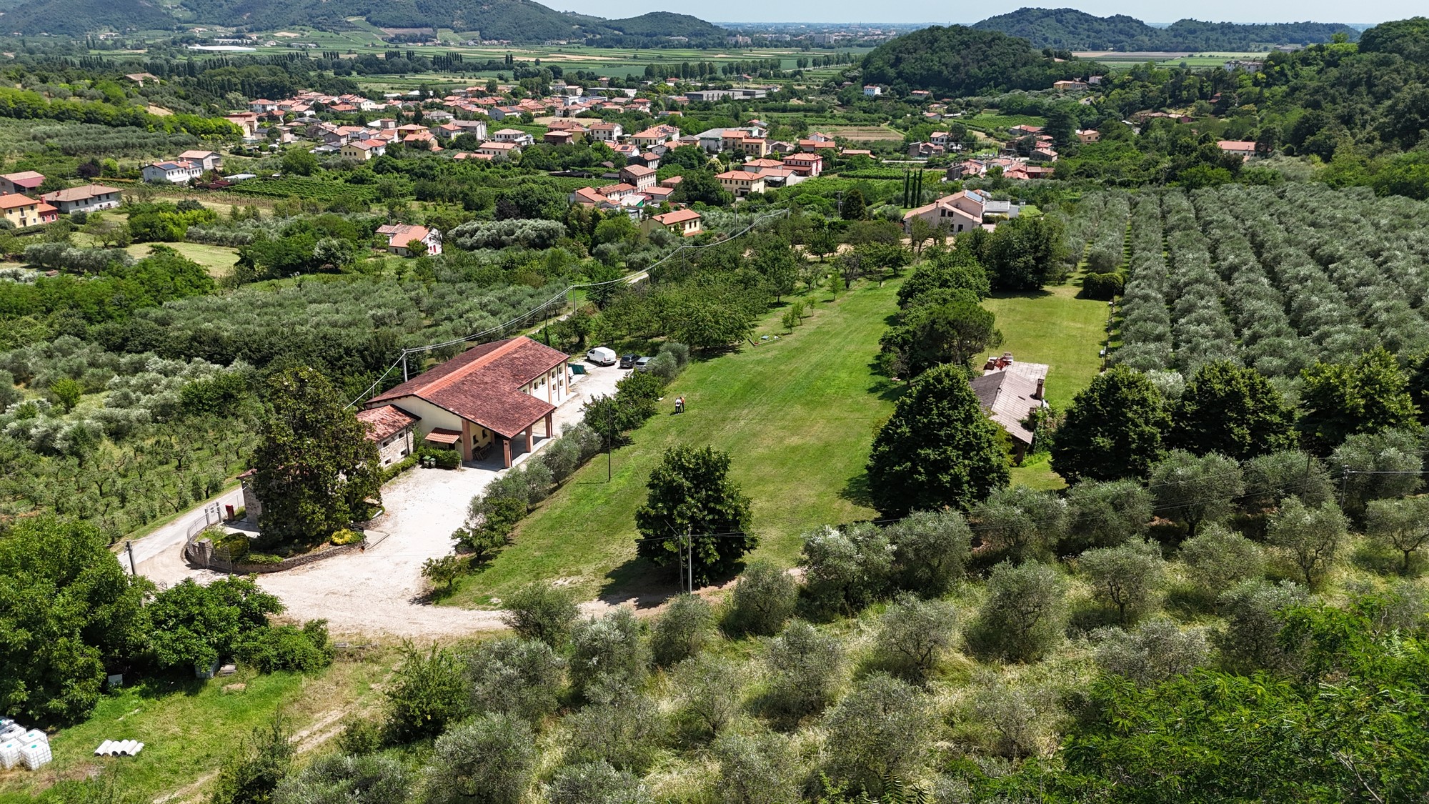 Veduta panoramica del Frantoio Colle del Poeta di Arquà Petrarca con uliveto e Colli Euganei